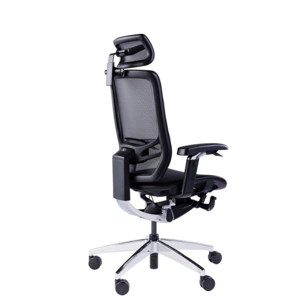 Купить GT Chair InFlex X-4.jpg